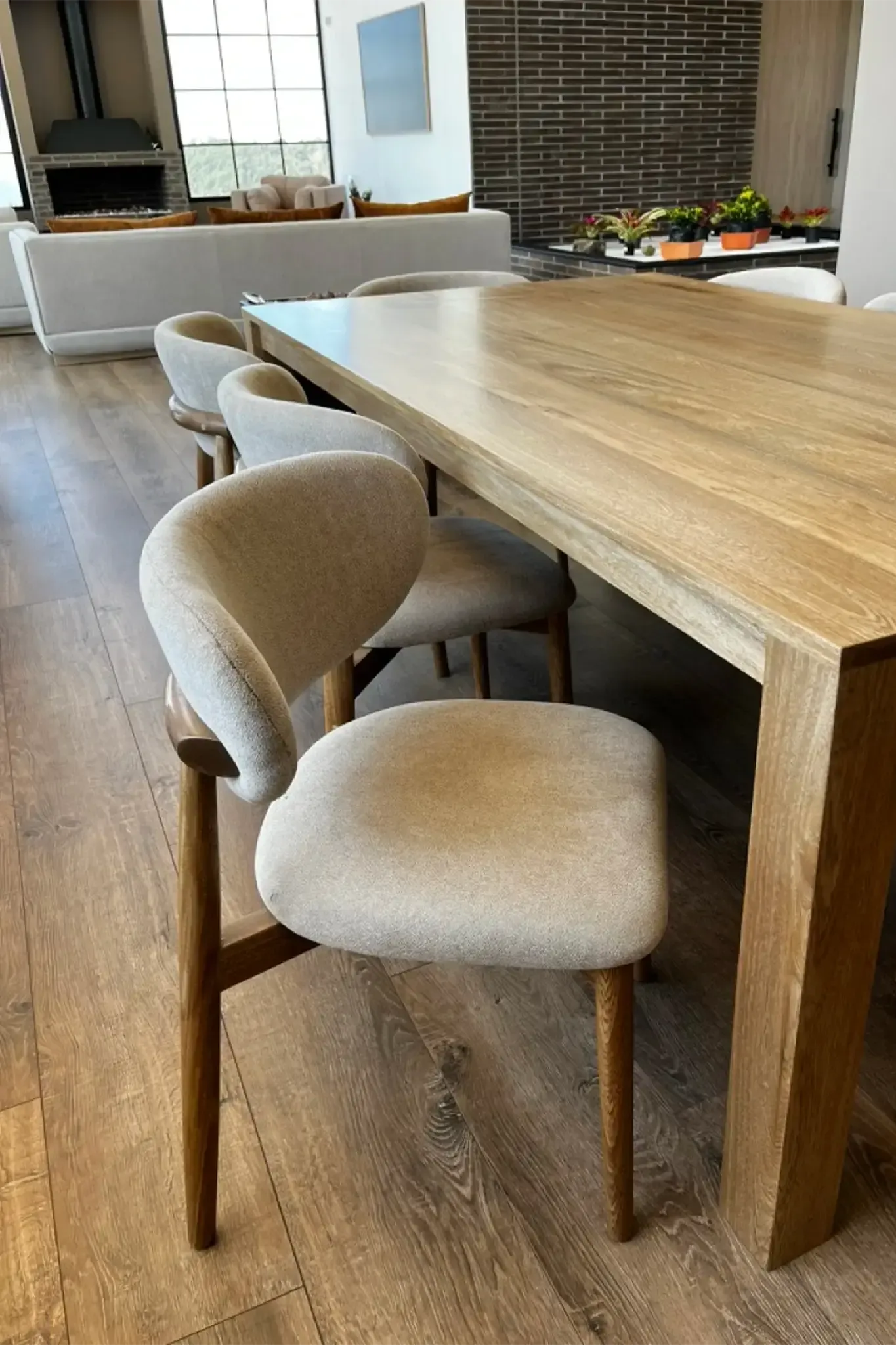 Cama tapizada en tela tipo terciopelo — Casa Juan Pablo