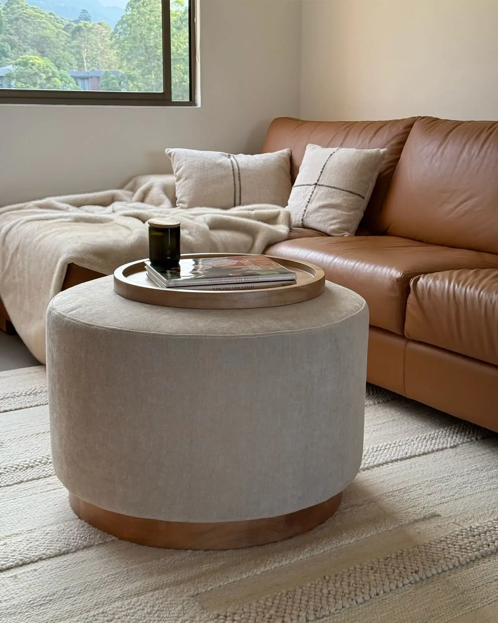 Proyecto Carolina Mesa